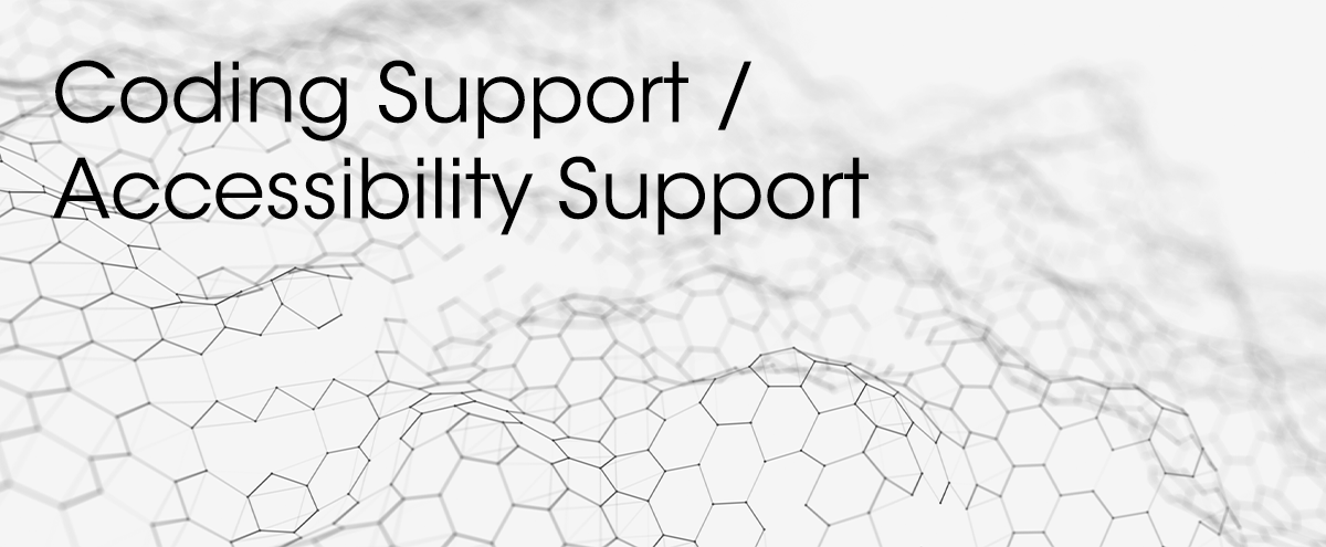 Coding Support / Accessibility Support